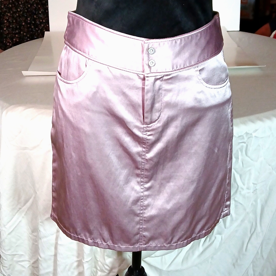 Armani Exchange Amethyst Silk Mini Skirt Nwt | Size 2 | Luxurious Pockets
